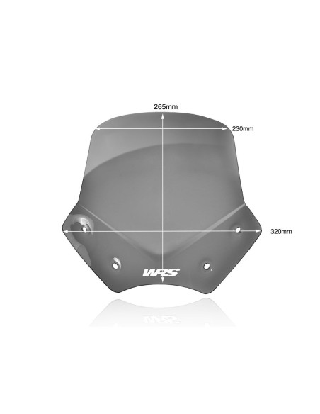 WINDSCREEN SPORT R1200R DARK S
