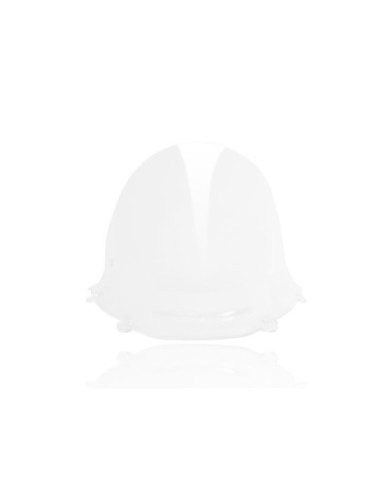 WINDSCREEN RACE PANIGALE 1299/