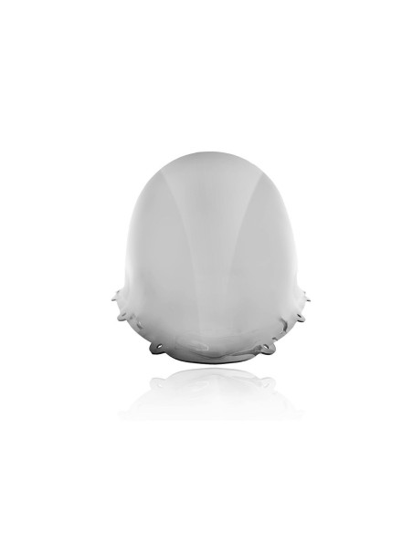 WINDSCREEN RACE PANIGALE 1299/