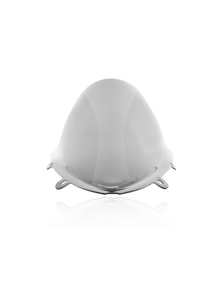 WINDSCREEN RACE RSV4 SMOKE