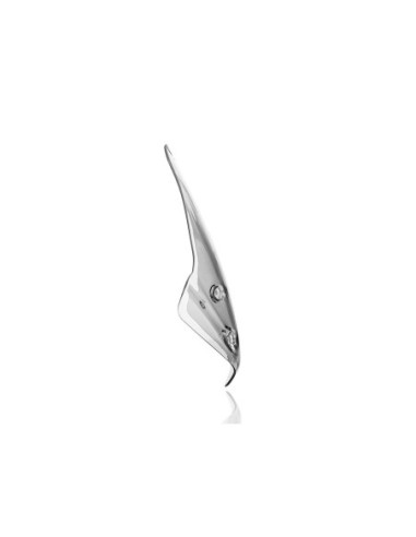 WINDSCREEN TOURING R1250R CLEA