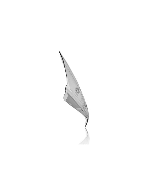 WINDSCREEN STANDARD R1250R SMO