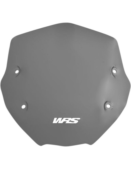 PRIEKINIS STIKLAS SPORTAS R1250R DARK S