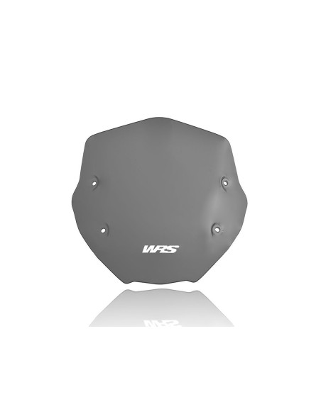 WINDSCREEN SPORT R1250R DARK S