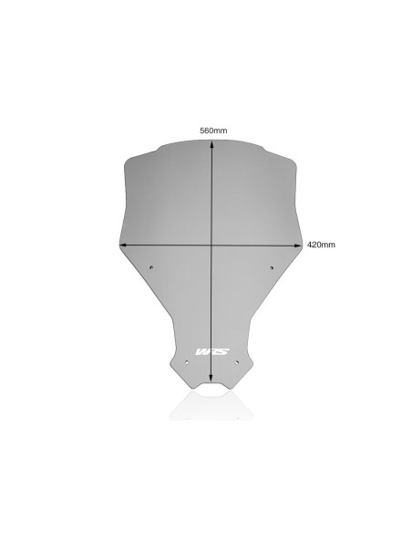 WINDSCREEN CAPONORD CRF1100L D