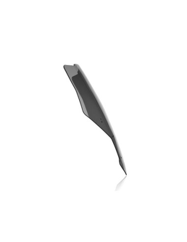 WINDSCREEN CAPONORD CRF1100L A