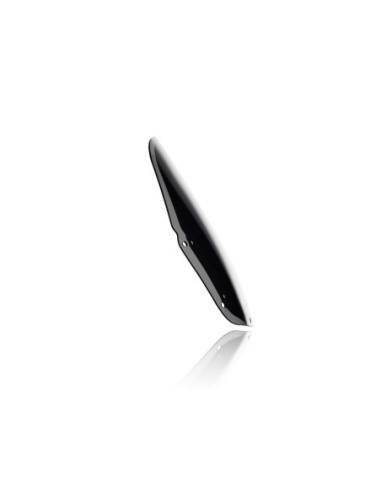 WINDSCREEN STANDARD XRV750 DAR