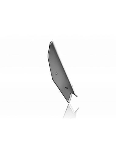 WINDSCREEN STANDARD TENERE700 