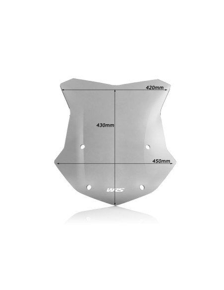 WINDSCREEN SPORT EVO R1200GS/A