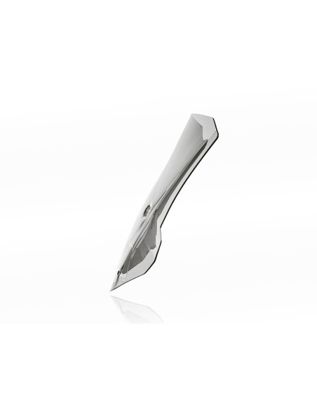 WINDSCREEN CAPONORD S1000XR SM