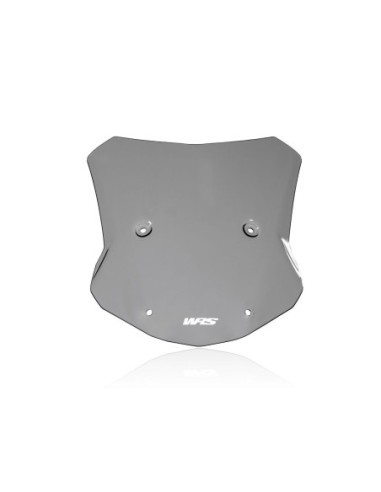 PRIEKINIS STIKLAS TOURING S1000XR DAR