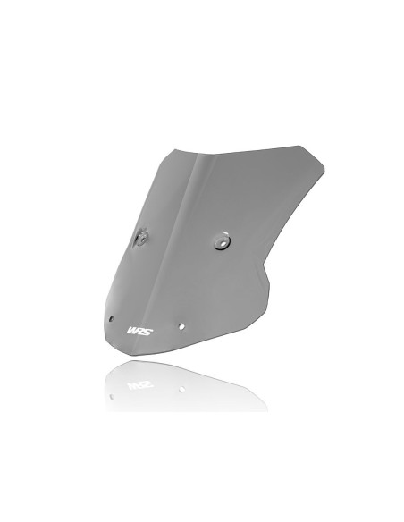 PRIEKINIS STIKLAS TOURING S1000XR DAR