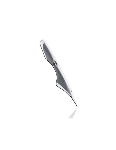 WINDSCREEN CAPONORD MULTISTRAD