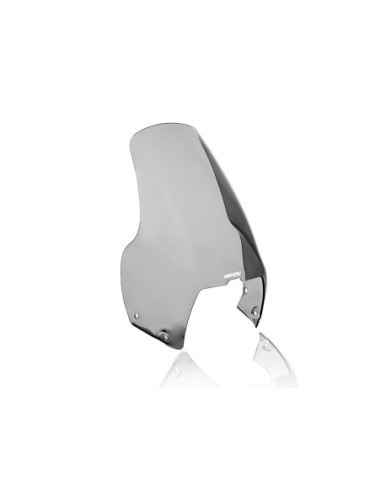 WINDSCREEN STANDARD R1100GS SM
