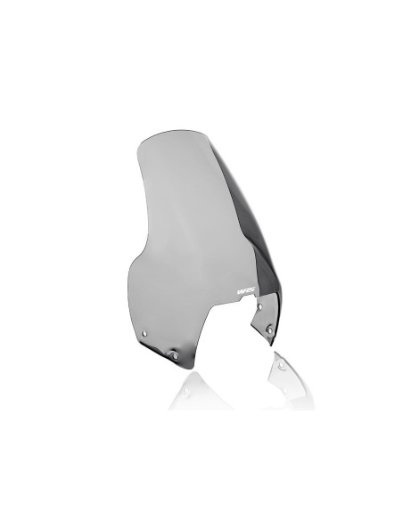 WINDSCREEN STANDARD R1100GS SM