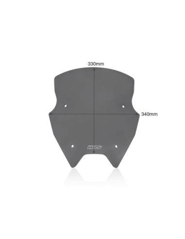 PRIEKINIS STIKLAS SPORTAS R1250RS TAMSUS