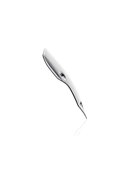 WINDSCREEN SPORT TIGER900 CLEA