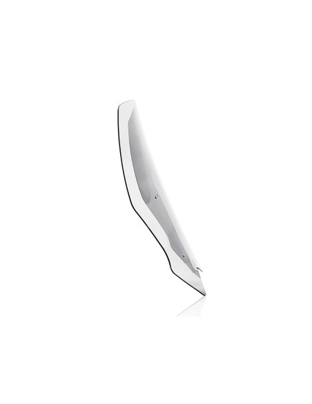 WINDSCREEN TOURING TMAX560 CLE