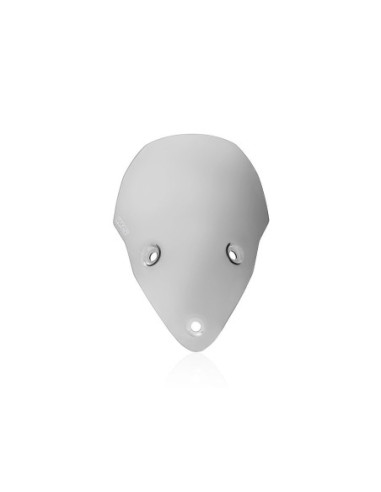 WINDSCREEN SPORT SUPERSPORT 95