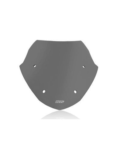 WINDSCREEN SPORT R1250RT DARK 