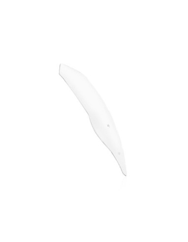 WINDSCREEN STANDARD R1250R CLE