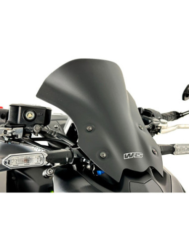 WINDSCREEN TOURING Z900 MATT B