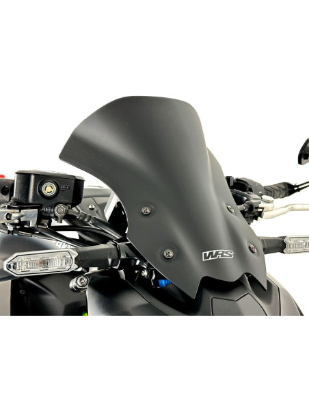PRIEKINIS STIKLAS TOURING Z900 MATINIS B