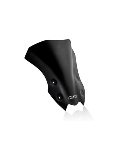 PRIEKINIS STIKLAS TOURING Z900 MATINIS B