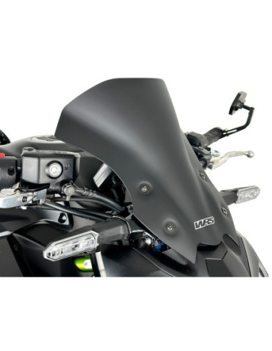 PRIEKINIS STIKLAS TOURING Z900 MATINIS B
