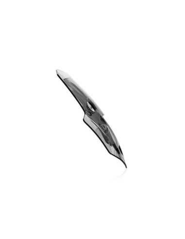 WINDSCREEN SPORT TIGER 1200 SM