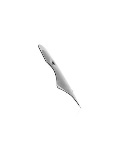 WINDSCREEN STANDARD MULTISTRAD