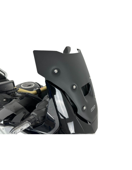 WINDSCREEN SPORT CRF1100L AFRI