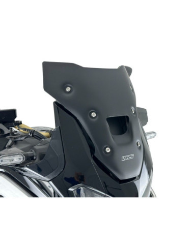 WINDSCREEN SPORT CRF1100L AFRI