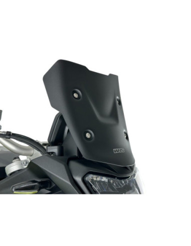 WINDSCREEN ENDURO F900GS MATT 