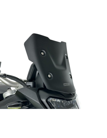WINDSCREEN ENDURO F900GS MATT 