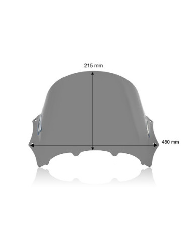 PRIEKINIS STIKLAS RACE M1000RR DARK S