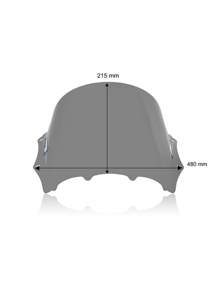 WINDSCREEN RACE M1000RR DARK S