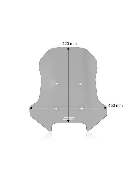 WINDSCREEN CAPONORD CFMOTO 450