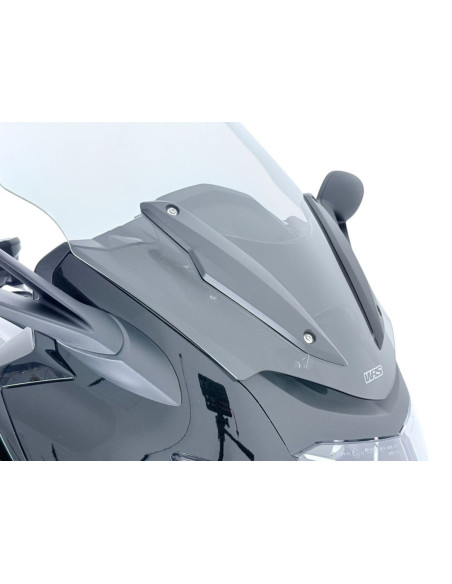 WINDSCREEN TOURING BMW K 1600 
