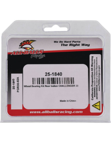 BEARING KIT WHEEL INDIAN