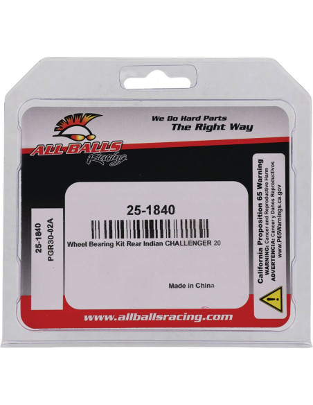 BEARING KIT WHEEL INDIAN