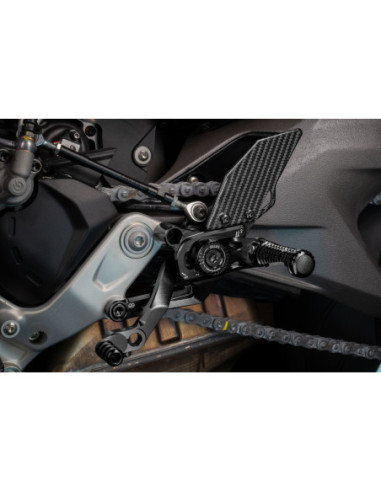 ZESTAW TYLNY MUE2 DUCATI STRETTFIGH