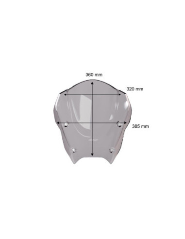 „WINDSCREEN SPORT“ „ BMW “ R1300RS D
