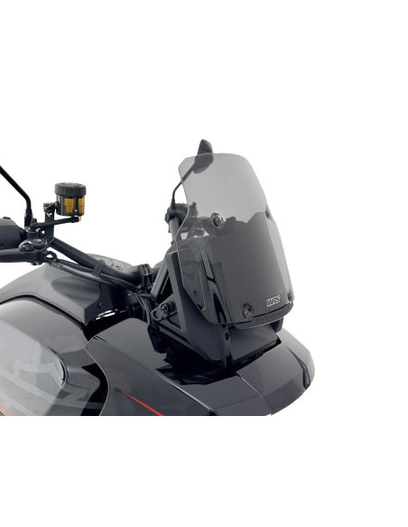 WINDSCREEN SPORT HD PAN AMERIC