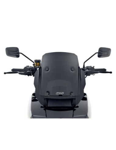 WINDSCREEN SPORT HD PAN AMERIC