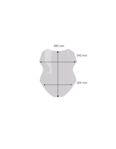 WINDSCREEN SPORT TRACER 7/GT C