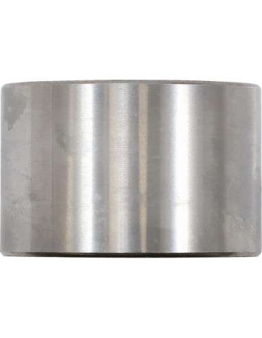 PRIMARY CLTCH BEARING POL