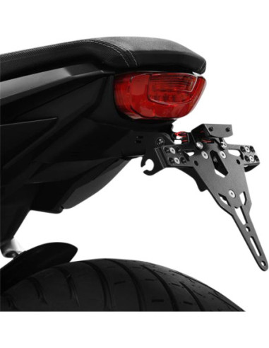 LCS PLT HLD TYPE A CB650R (GER