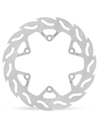 BRAKE DISC FLAME REAR