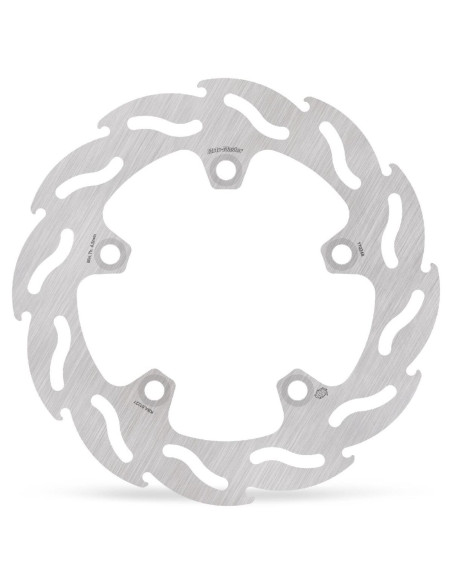 BRAKE DISC FLAME REAR